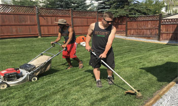 weekly lawn care, lawn mower service, lawn cutting services