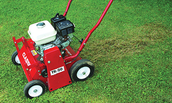 lawn care regimen